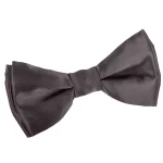 Classic Clip Bow Tie